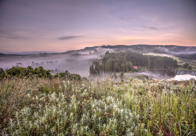 Pavetta Country House