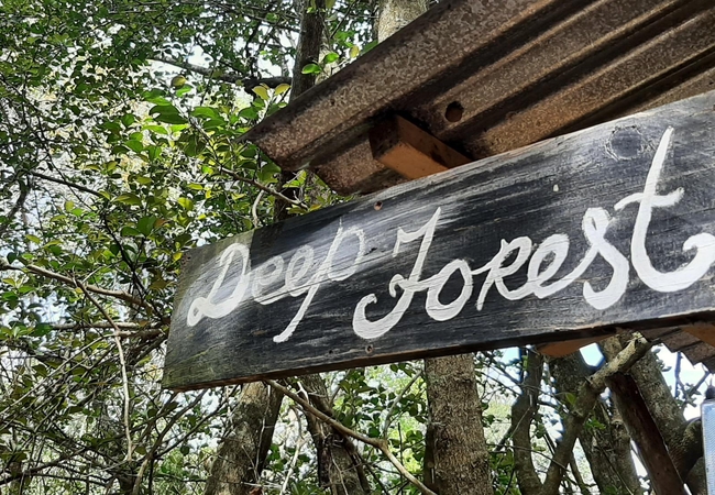 Deep Forest Tent