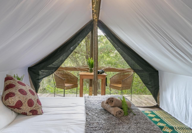 Morning Star Forest Tent