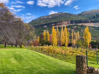 Pear Tree Cottage Clarens
