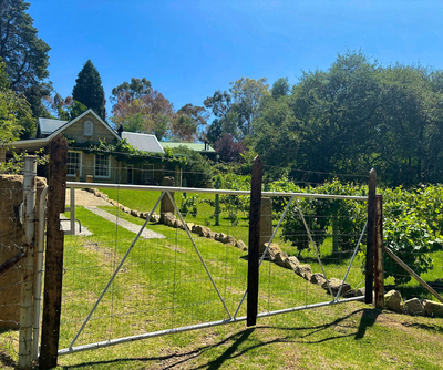 Pear Tree Cottage Clarens