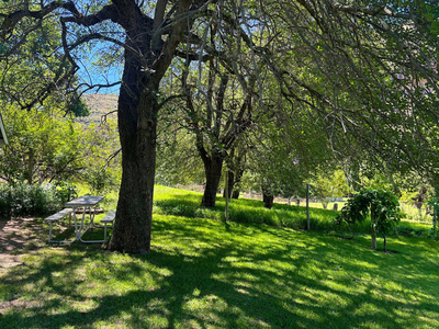 Pear Tree Cottage Clarens