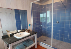 Deluxe Room with Shower