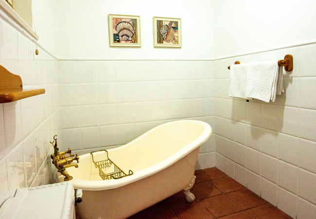 Penguin @ Whale Of A Time