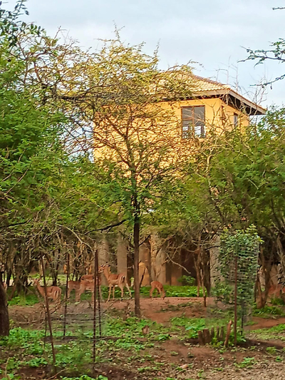 Penthouse at Kruger Safari Lodge