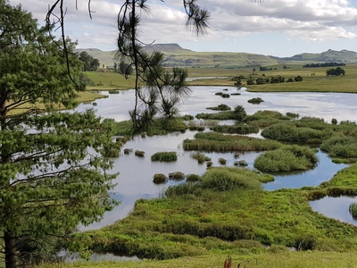 Penwarn Mthini Lodge