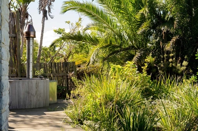 Nature Interconnecting  Suite