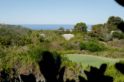 Nature Interconnecting  Suite