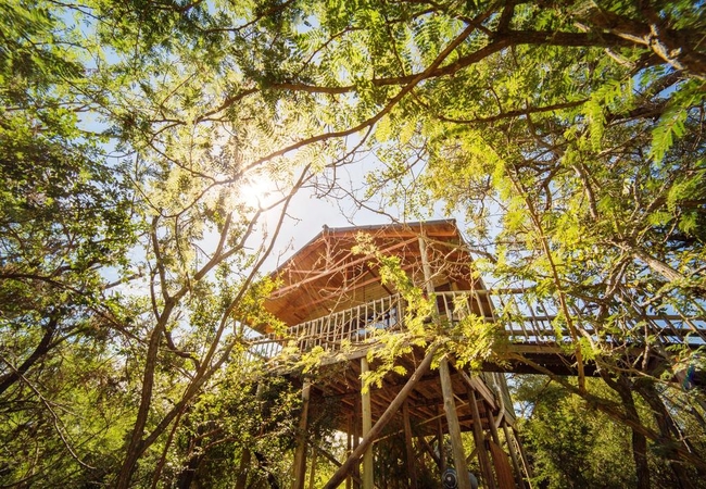 Pezulu Tree House Lodge