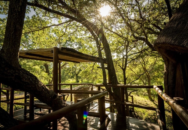 Pezulu Tree House Lodge