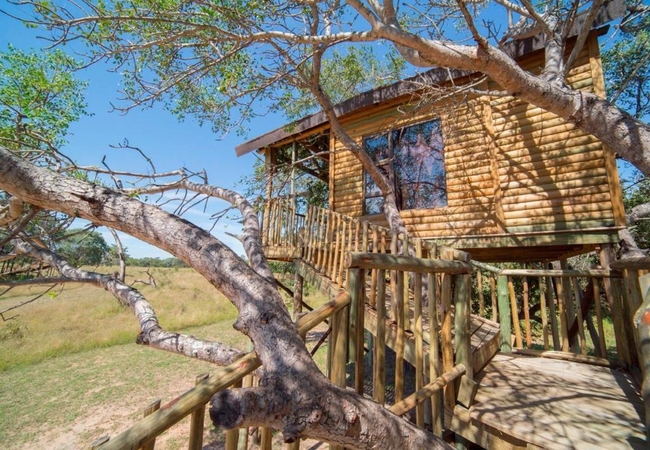 Pezulu Tree House Lodge