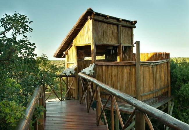 Pezulu Tree House Lodge