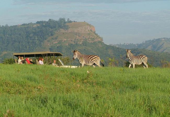 Safari Lodge PheZulu Safari Park Bothas Hill Unterkunft KwaZulu Safari Lodge PheZulu Safari Park Bothas Hill Unterkunft KwaZulu