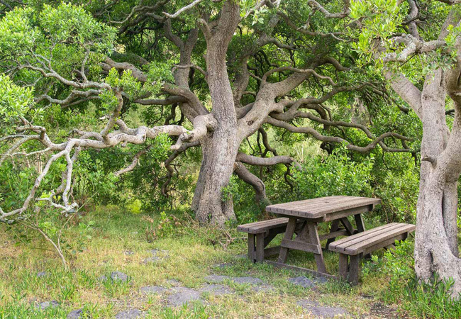 Phillipskop Mountain Reserve