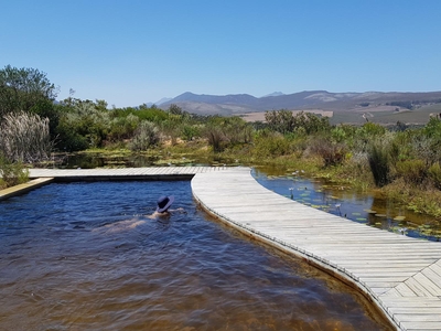 Phillipskop Mountain Reserve