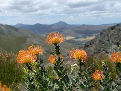 Phillipskop Mountain Reserve