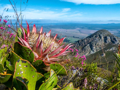 Phillipskop Mountain Reserve