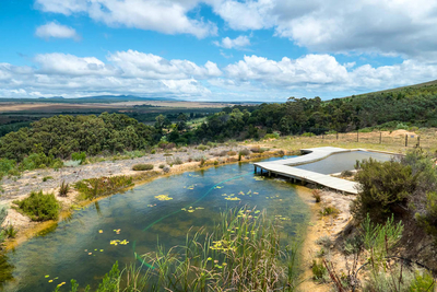 Phillipskop Mountain Reserve