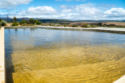Phillipskop Mountain Reserve