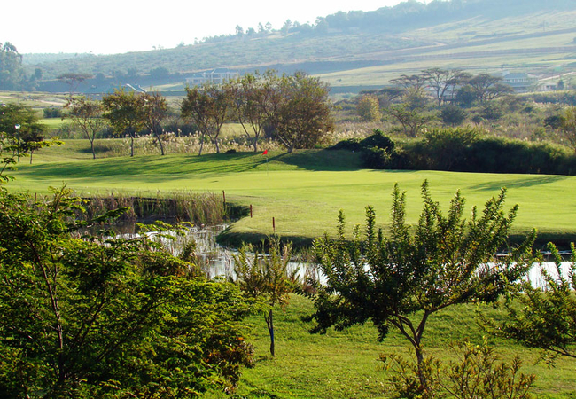 Golf Course View