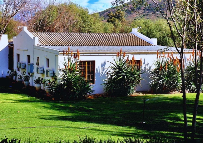 Pinotage House