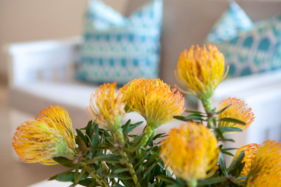 Plett Beachfront Guest House