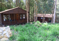 Plett Forest Cabins