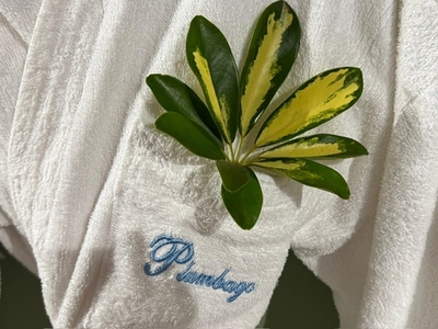Plumbago Guest House
