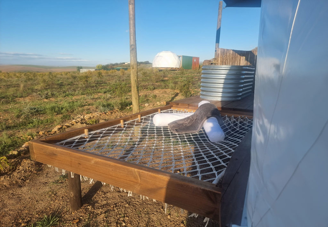 Pom Gratz Infinity Dome