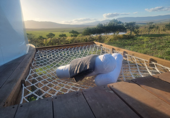 Pom Gratz Infinity Dome