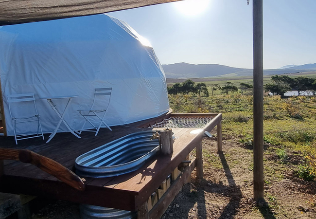 Pom Gratz Tranquility Dome