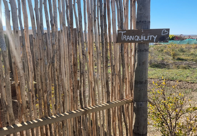 Pom Gratz Tranquility Dome