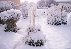 Primrose Cottage In Sutherland Northern Cape