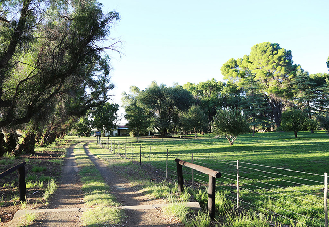 Prior Grange Guest Farm