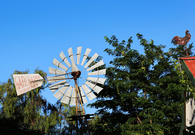 Prior Grange Guest Farm