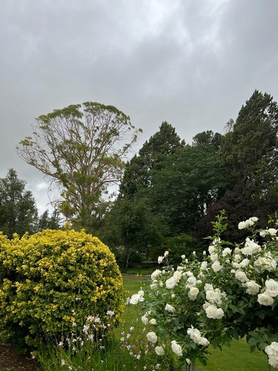 Prior Grange Guest Farm
