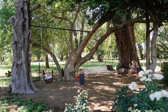 Prior Grange Guest Farm