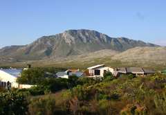 Protea Cottage