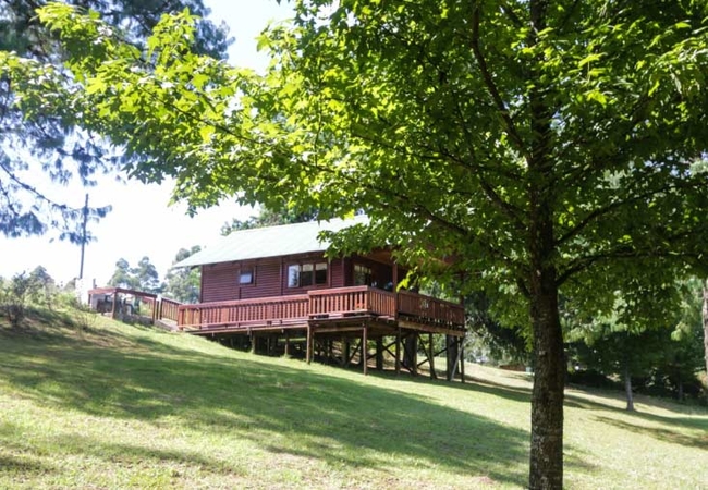 Pygmy Log Cabin