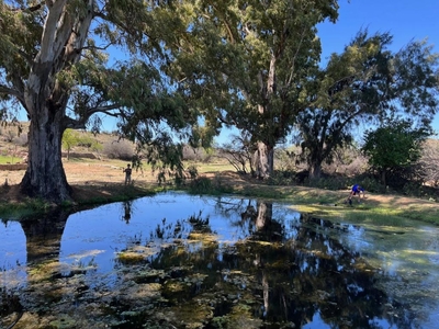 Quaggasfontein Private Reserve