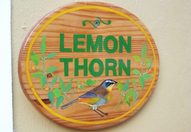 Lemon Thorn Cottage 