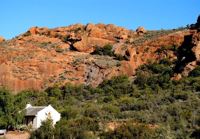 Aloe Gardens Cottage