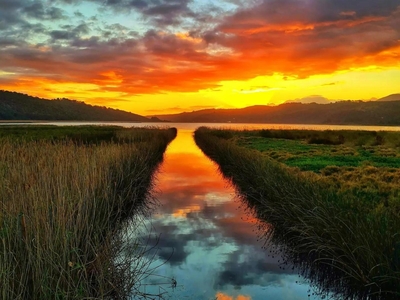 Reflections Eco-Reserve