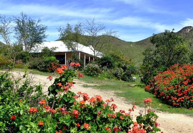 View of suites