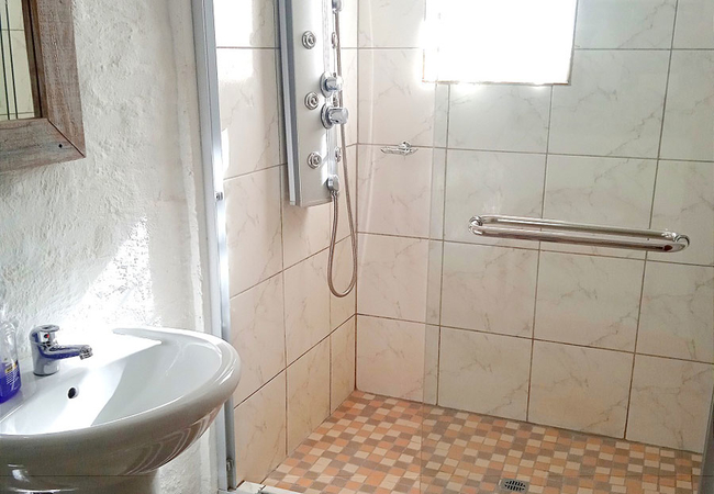 Shower and wash basin