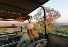 Game Drive