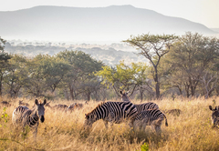 Rhino Sands Safari Camp