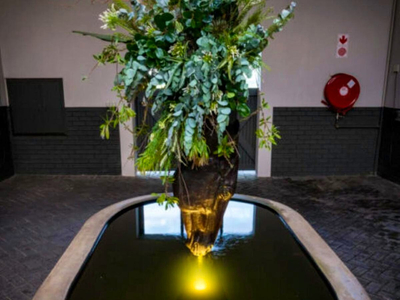 Rhone Hill Polo Club