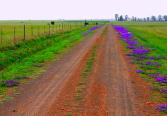 Road during wet season