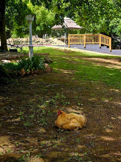 Rising Rocks Farm